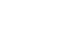 Bauknecht & Wirth
